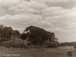 View of the homestead from a small island in the marsh